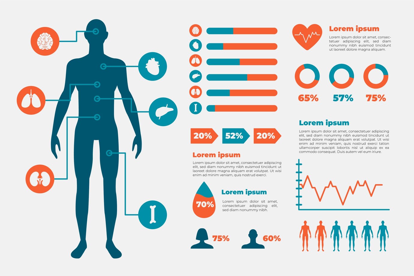 Body Composition Analysis